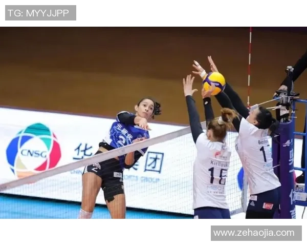 上海排球队节奏之争引发热议球迷观点各异分析深入