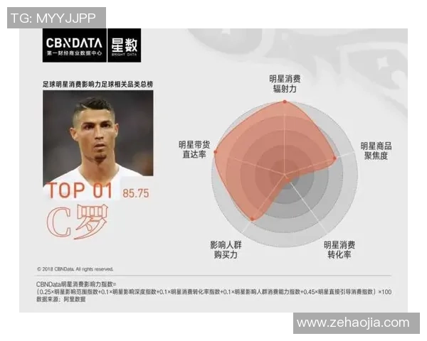 法国足球明星地图排名揭示各大球星的成就与影响力分析